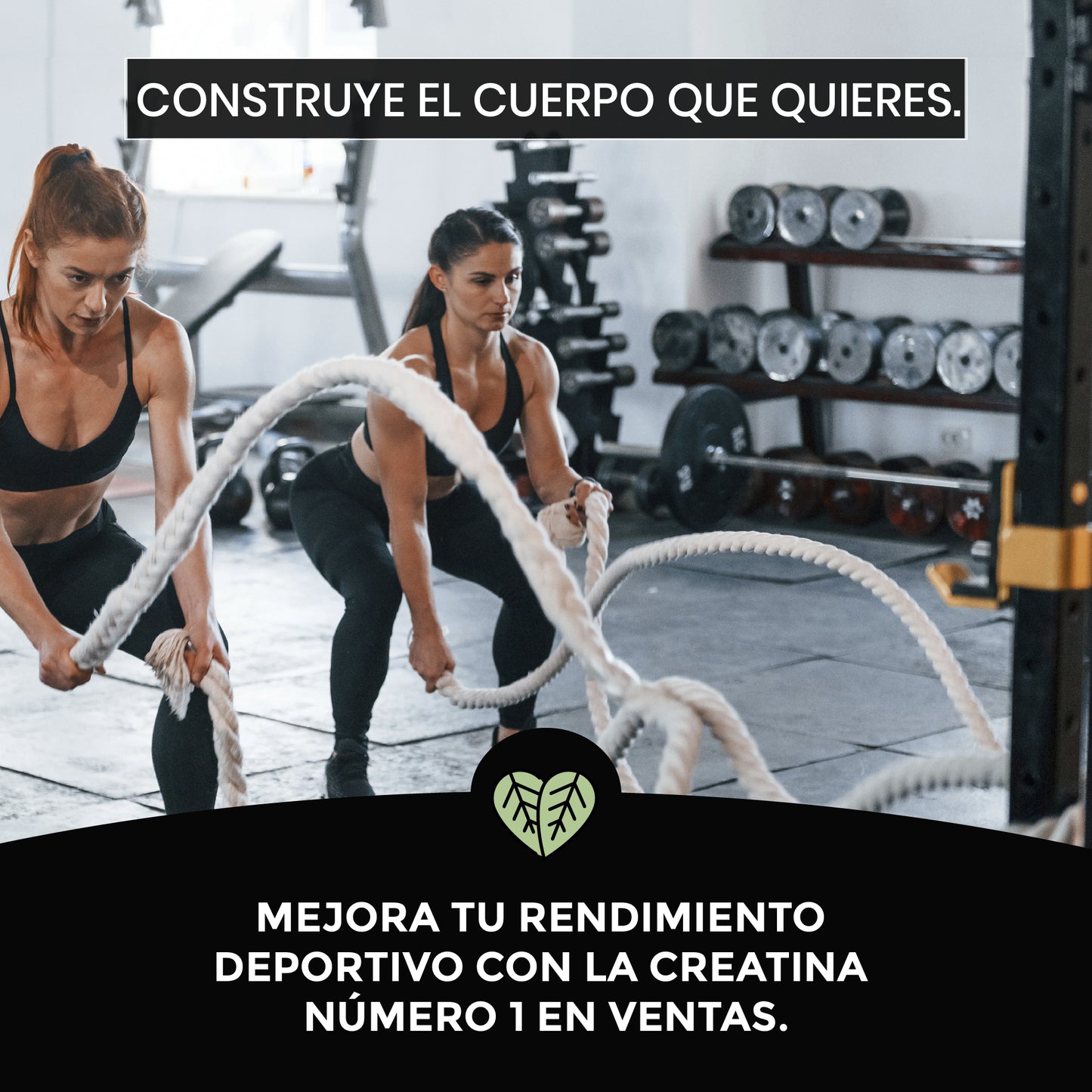 100% Creatina Foodelis CREAPURE®