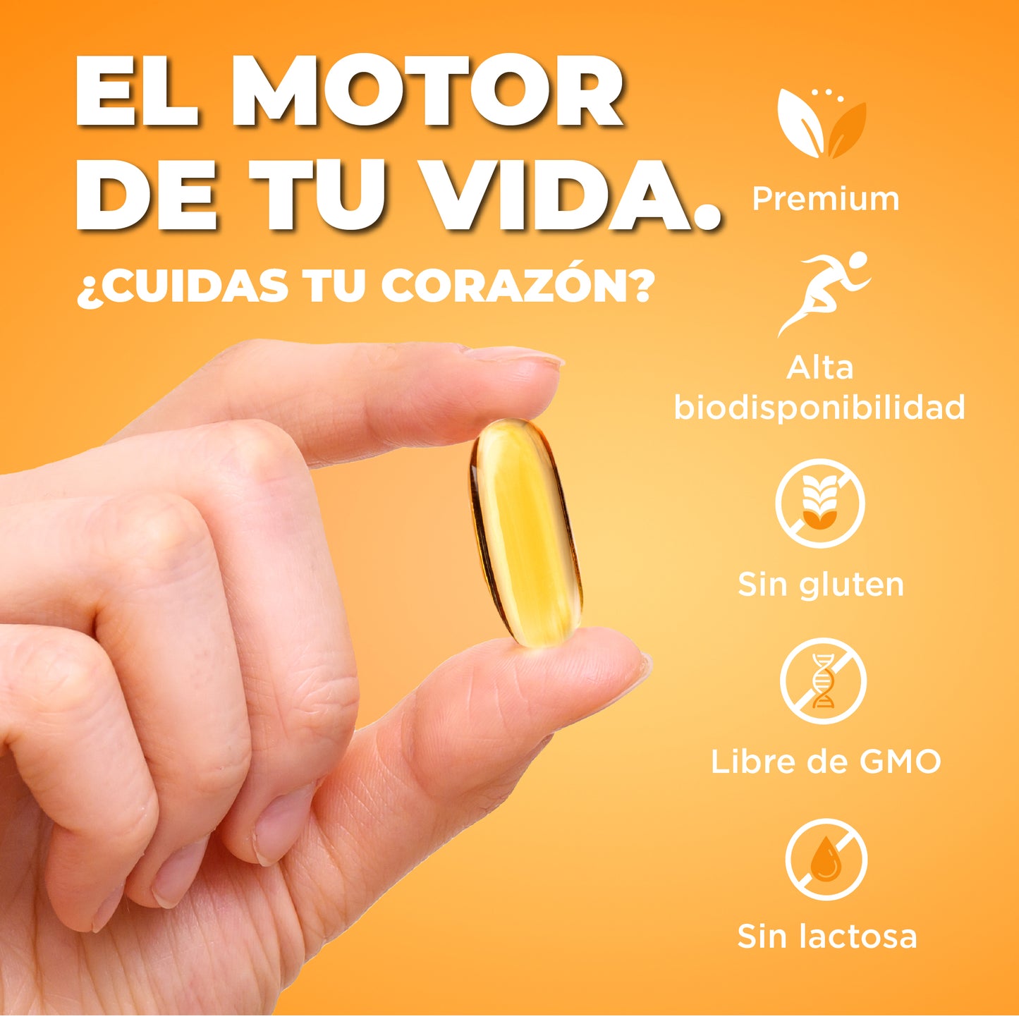 Omega 3 Cardio - 3 componenti