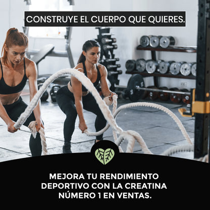 100% Foodelis CREAPURE® créatine