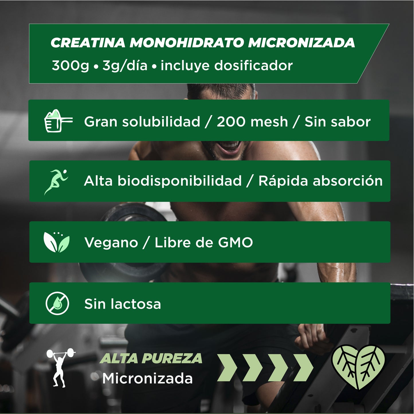 100 % mikronisiertes Kreatin-Monohydrat (Pulver)